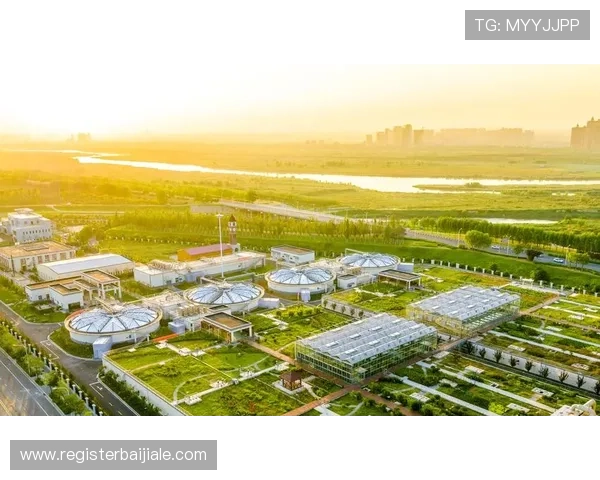 PA体育视讯助力体育赛事推广提升品牌影响力实现多平台多渠道的推广策略