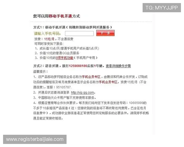 提升ag zhenren会员申请成功率的实用技巧与注意事项