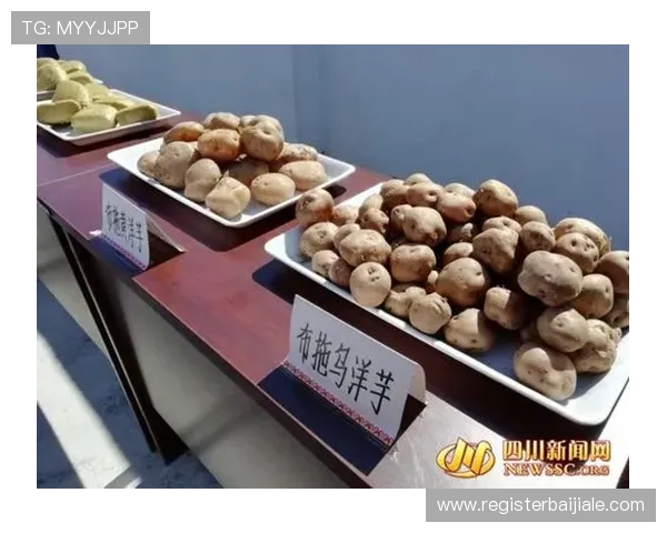 亚投真人入口注册流程详解,帮助新手玩家快速顺利完成账号注册与登录 亚投真人入口注册流程详解,帮助新手玩家快速顺利完成账号注册与登录