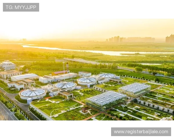 提升PA视讯安全水平的实用技巧与行业最佳实践确保游戏生态健康发展