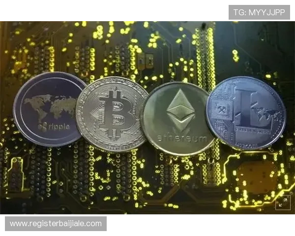 影响pa视讯登录人口数量的关键因素及应对策略详尽解析 影响pa视讯登录人口数量的关键因素及应对策略详尽解析